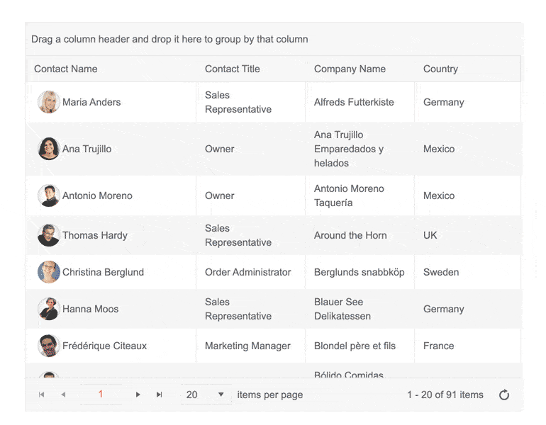 Themes for ASP.NET Core Grid