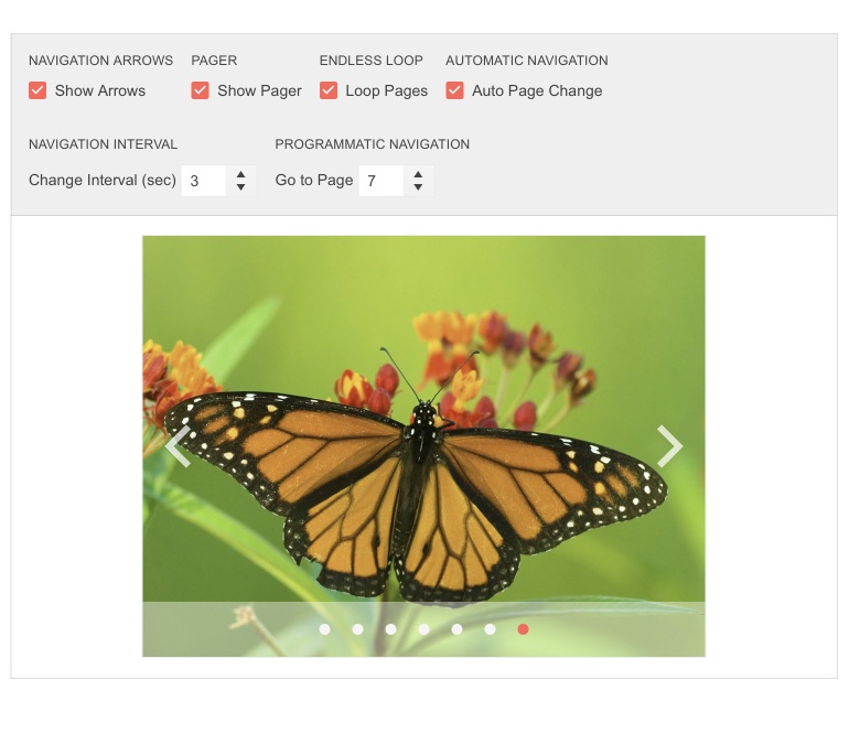 Telerik UI for Blazor Carousel - Configuration