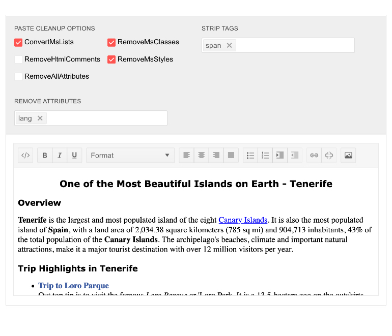Blazor Rich Text Editor Copy/Paste