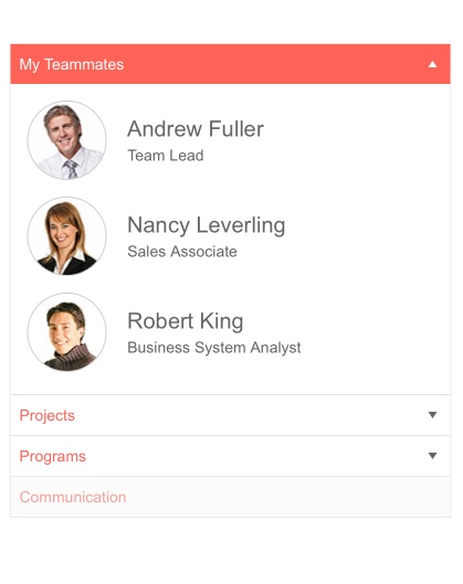 Telerik UI for ASP.NET MVC PanelBar - Overview