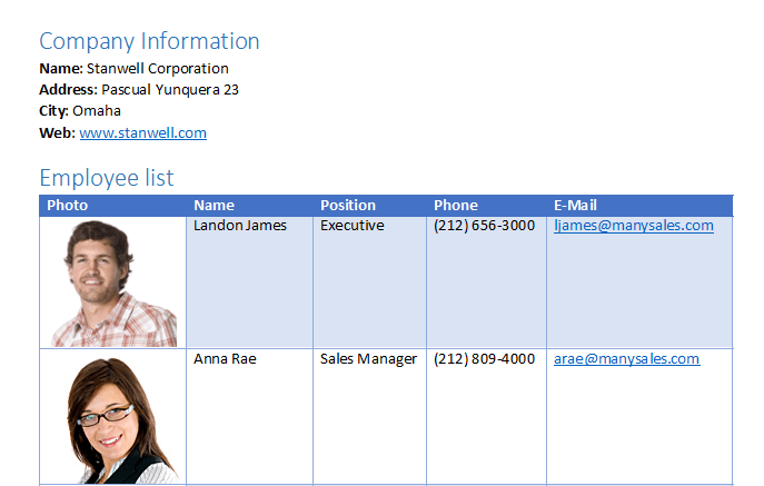 Telerik UI for Blazor WordsProcessing - Bookmarks and Hyperlinks