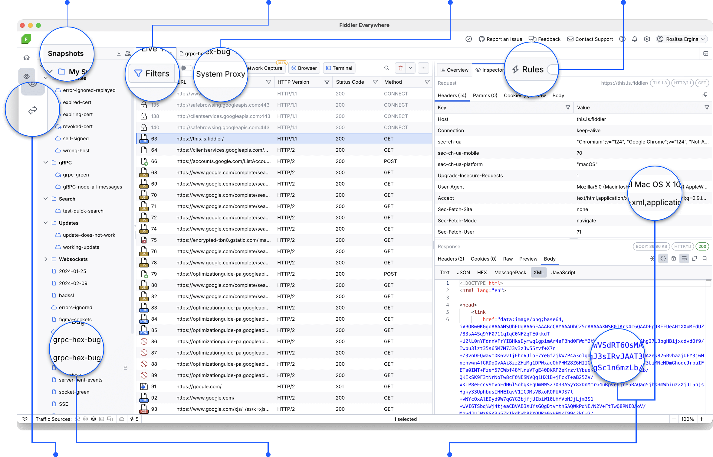 fiddler everywhere use cases screenshot