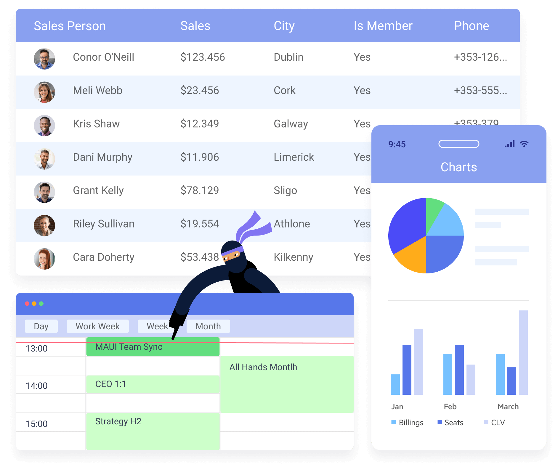 Hero Illustration Maui