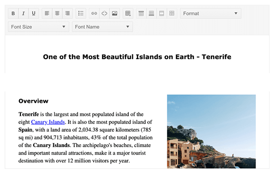 Rich Text Editor Header